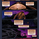 Image for article titled Find Out What Happened Next In Our Exclusive Farscape Preview